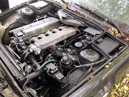 DSCF2438.JPG