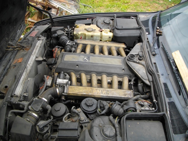 IMGP2899.JPG