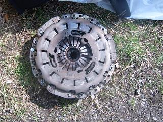 S3701555.JPG