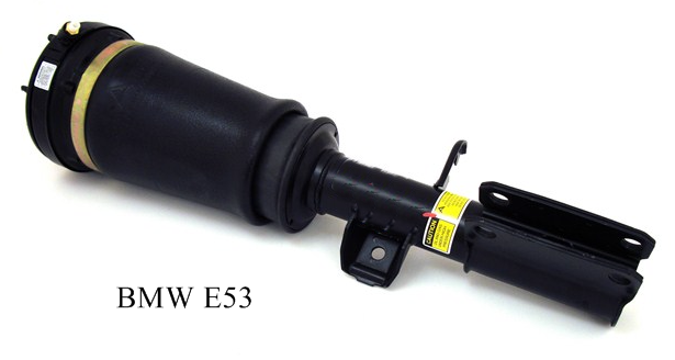 BMW E53tlmič.png
