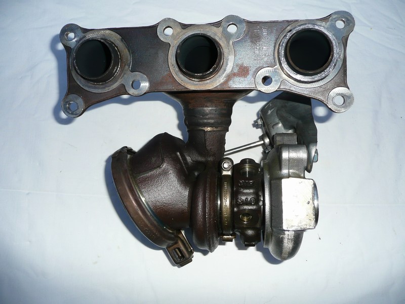 mini-P1010085.JPG