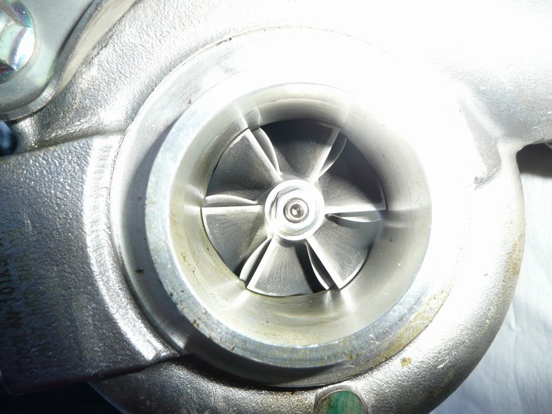 mini-P1010086.JPG