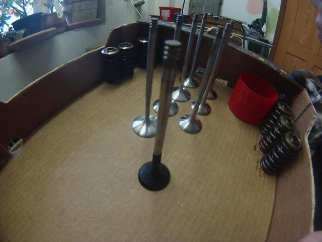GOPR0257.JPG