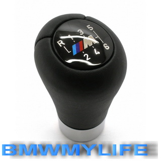 radicka-m-shortshift-koza-6q-2.jpg